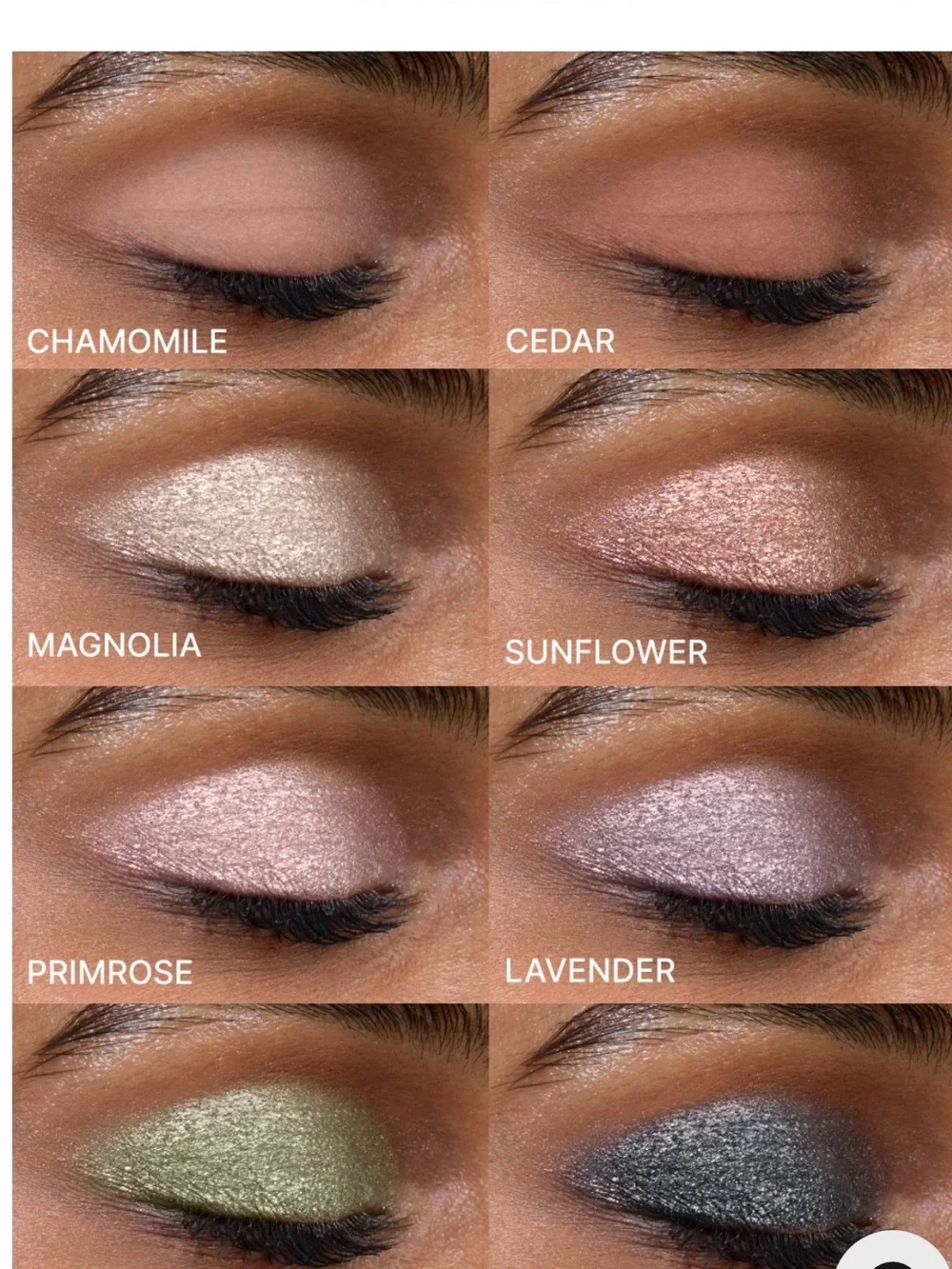 WINKY LUX Metallic Sage Liquid Eyeshadow - Olive Green